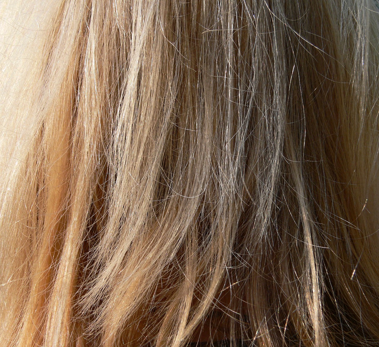 Best Products for Damaged Hair
